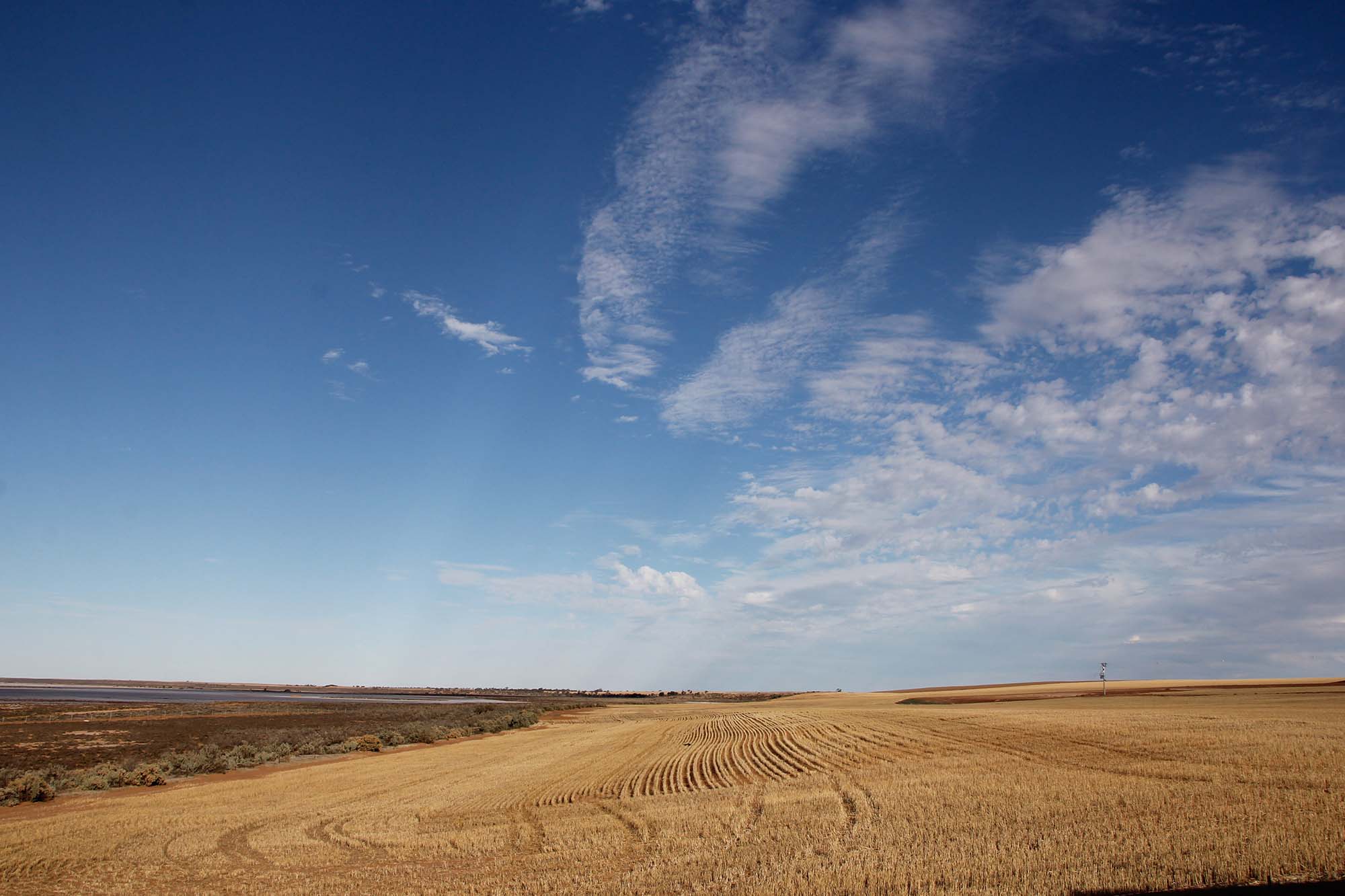 Vic Drought Hub - Farmland 6