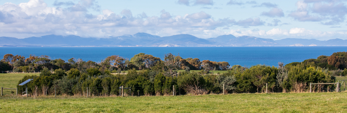 Green-Farm-Dams-Field-Day-180523-35 The fenced-off farm dam in the foreground, with a backdrop of Wilsons Promontory (note that this is a very windy coastal location) LR-jpg