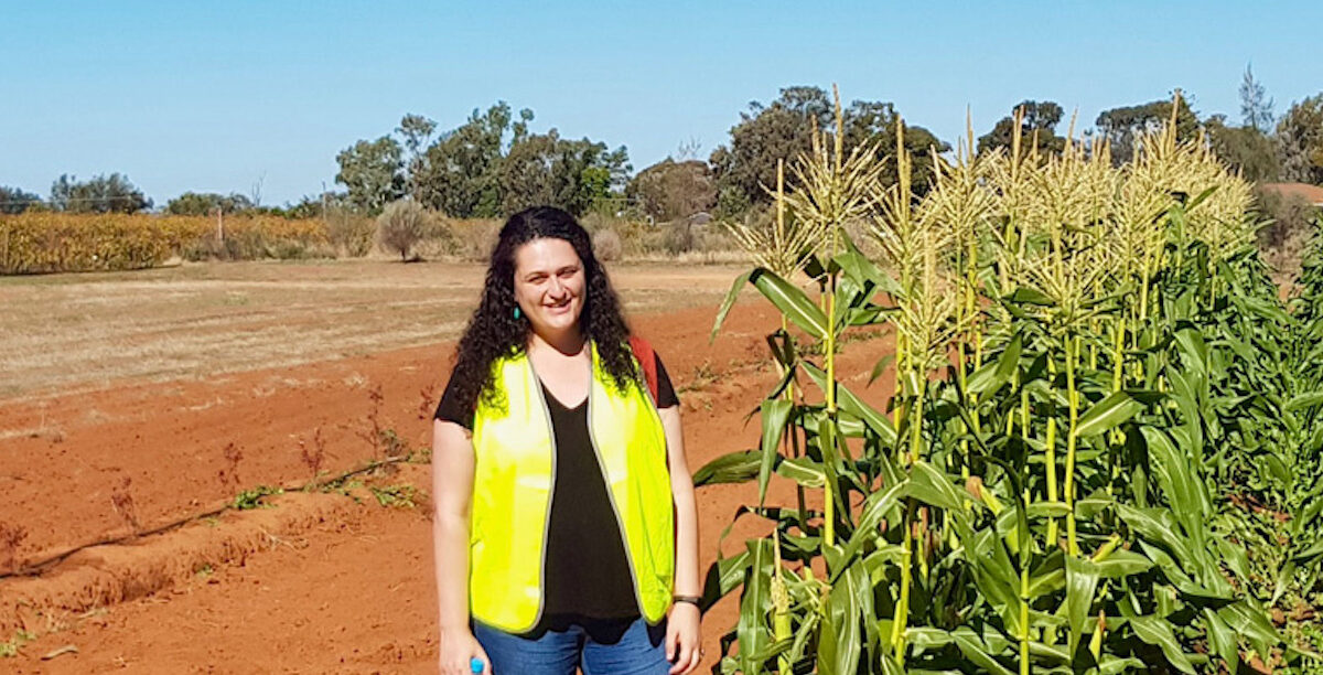 Exploring Irrigation Decision Making In The Mallee – Victoria Drought ...