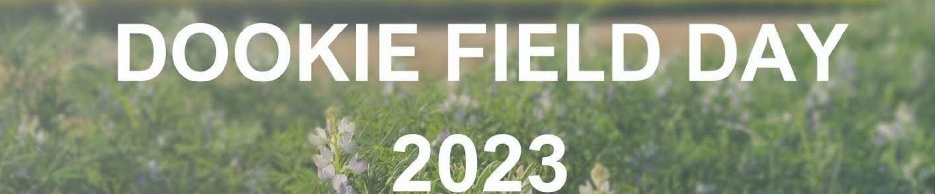 Dookie Field Day 2023 2000px