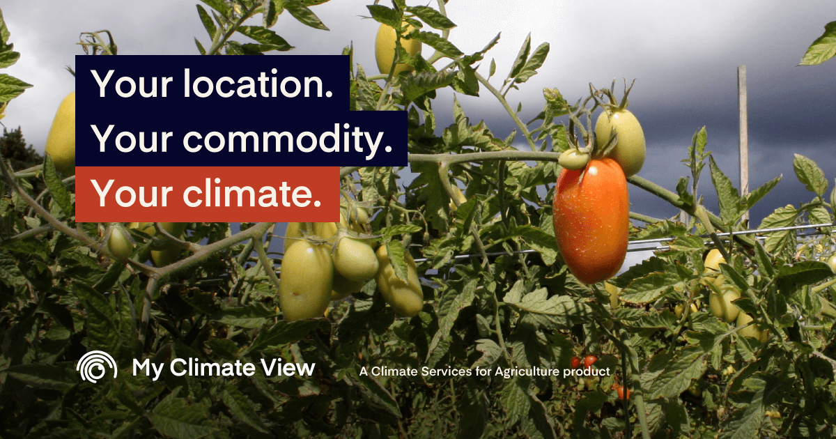 My Climate View free digital tool offers local climate projections for 22 agricultural commodities