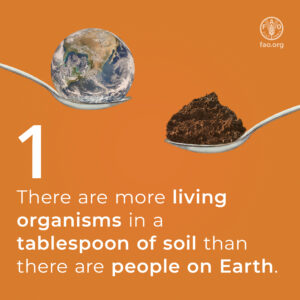 Soils-3 Reasons-EN-02
