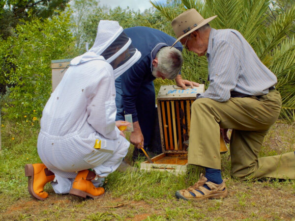 bees-frame-3-website Dr Jessi Henneken collecting samples with beekeeper and pollination specialist Trevor Monson and one of the growers involved in the project